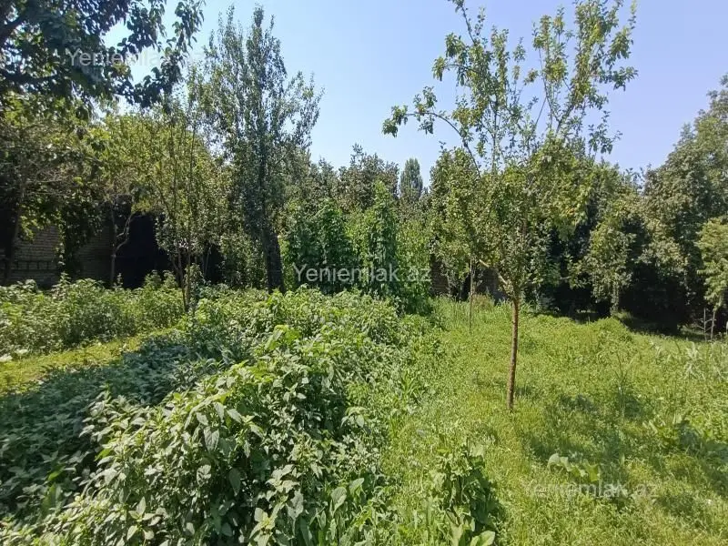 4 400 AZN - 15 sot Torpaq Satılır, Qəbələ