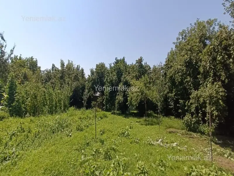 4 400 AZN - 15 sot Torpaq Satılır, Qəbələ