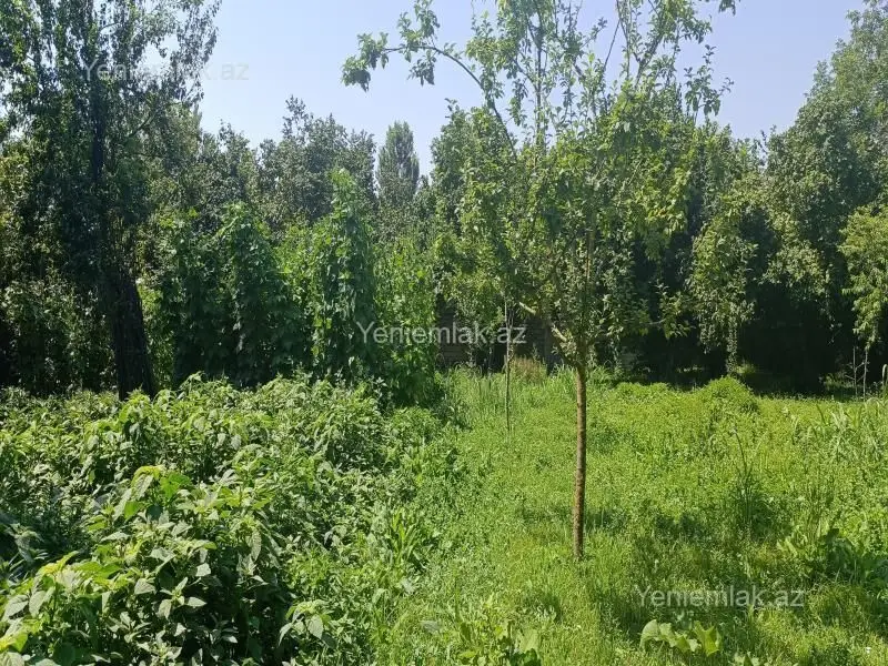 4 400 AZN - 15 sot Torpaq Satılır, Qəbələ