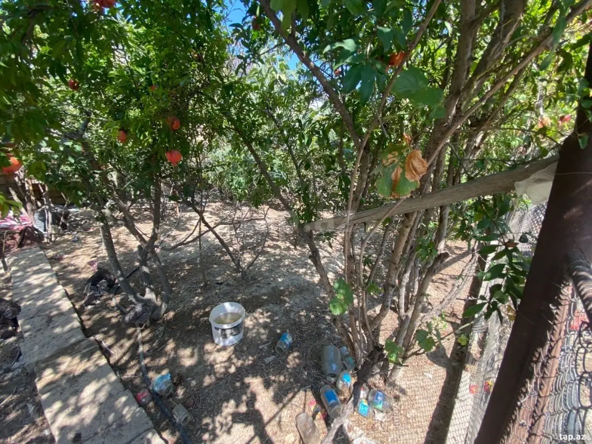 60 000 AZN - 0 m² Obyekt / Ofis , Bakı