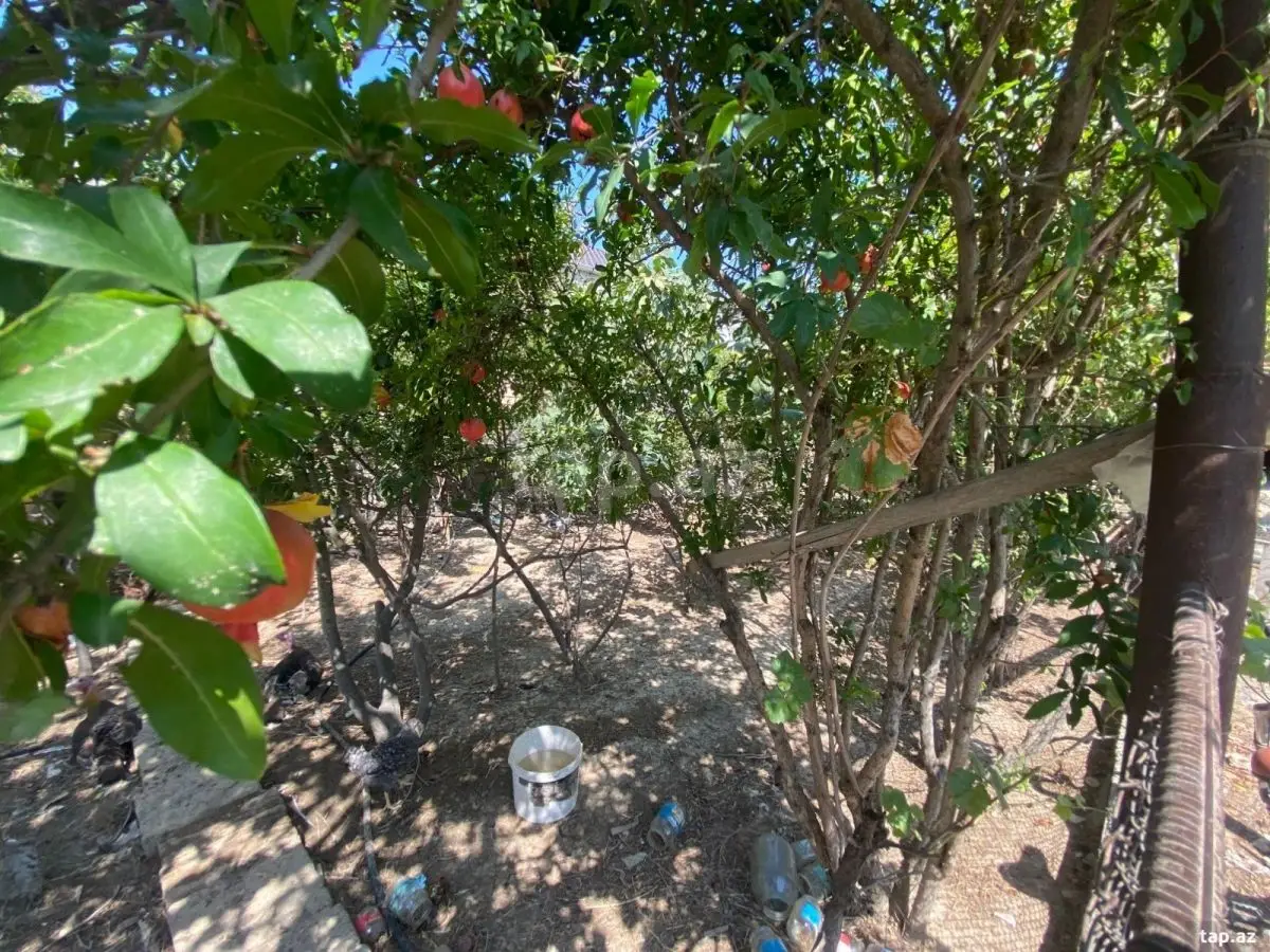 60 000 AZN - 0 m² Obyekt / Ofis , Bakı