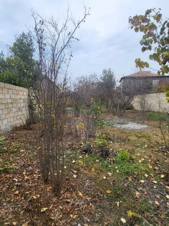 84 000 AZN - 3 otaqlı mənzil Satılır, Bərdə