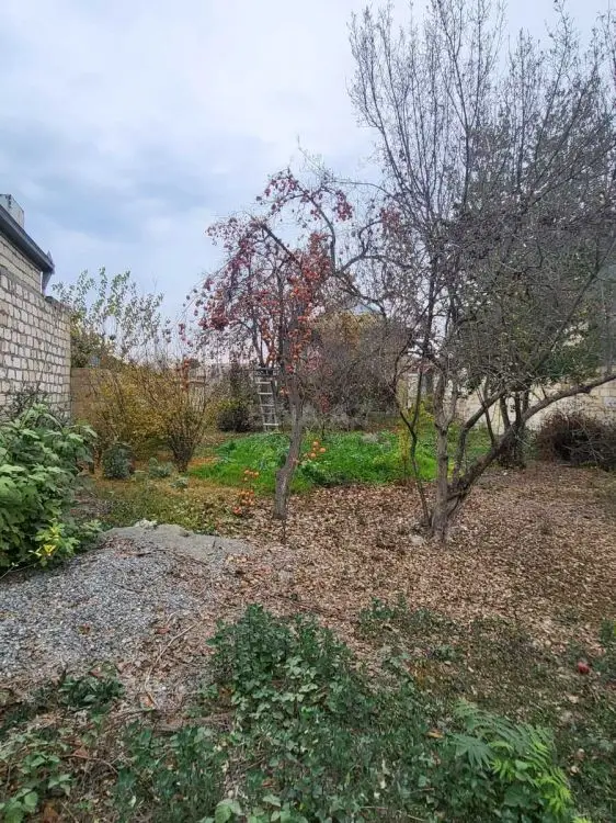 84 000 AZN - 3 otaqlı mənzil Satılır, Bərdə