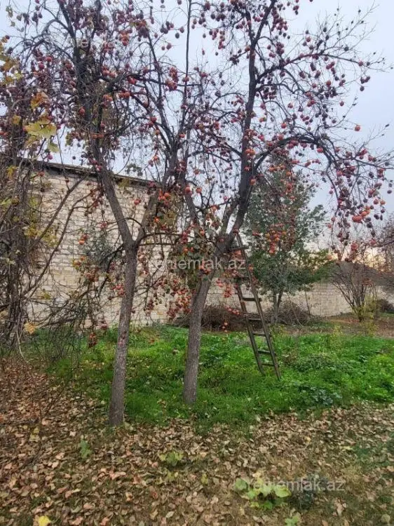 84 000 AZN - 3 otaqlı mənzil Satılır, Bərdə