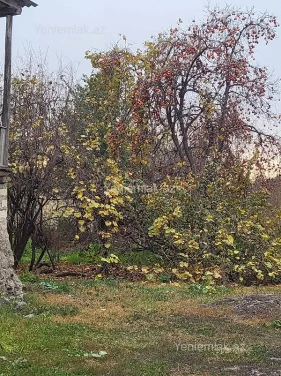 84 000 AZN - 3 otaqlı mənzil Satılır, Bərdə