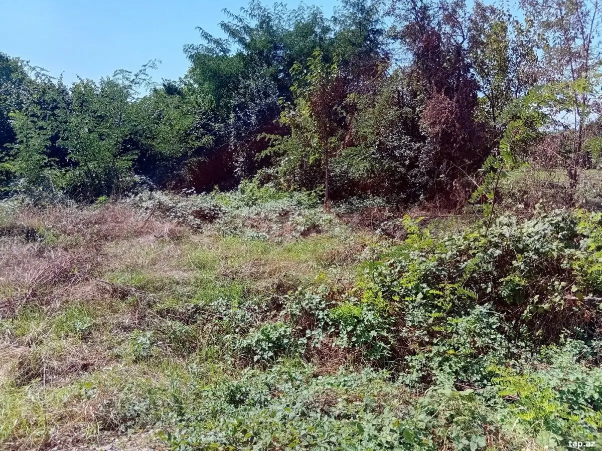 98 000 AZN - 0 m² Obyekt / Ofis , Qusar