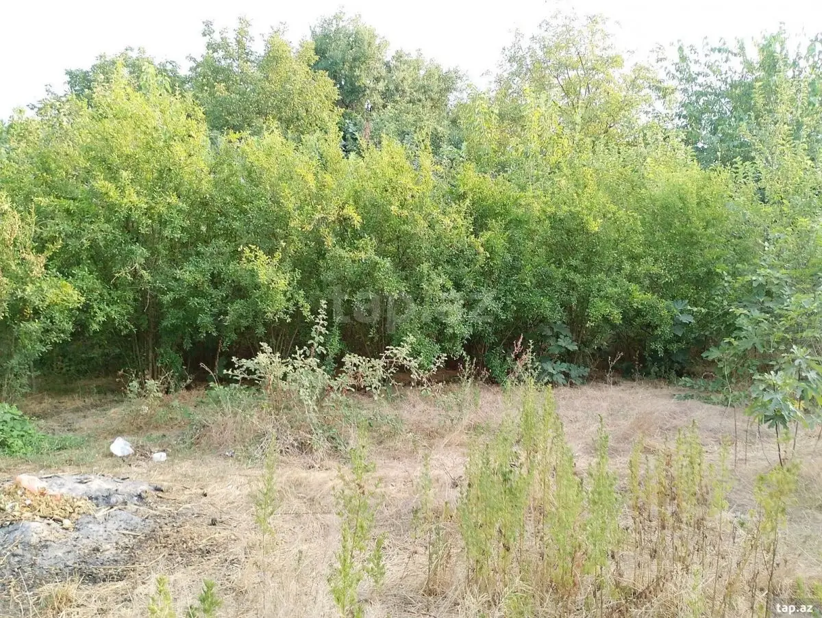 25 000 AZN - 0 m² Obyekt / Ofis , Bərdə