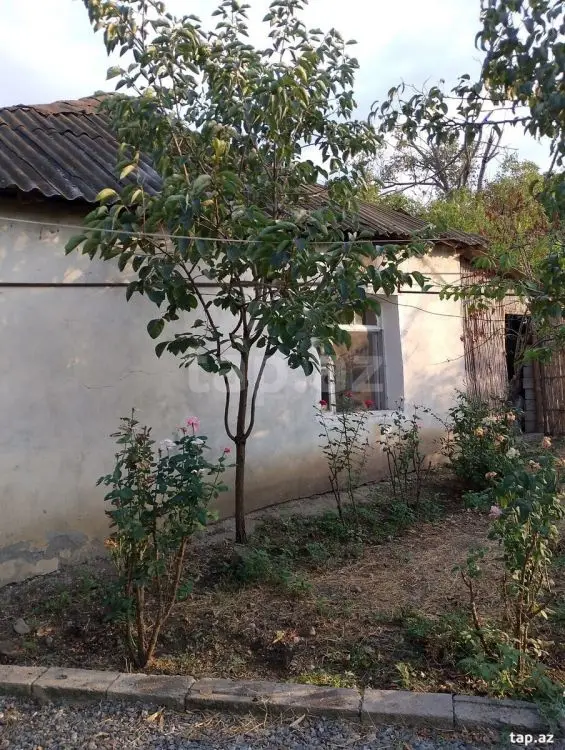 25 000 AZN - 0 m² Obyekt / Ofis , Bərdə