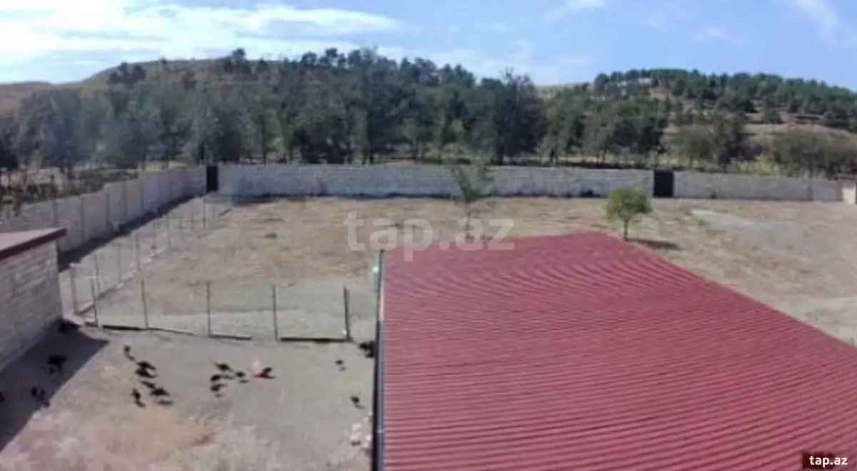 186 000 AZN - 0 m² Obyekt / Ofis , Şabran