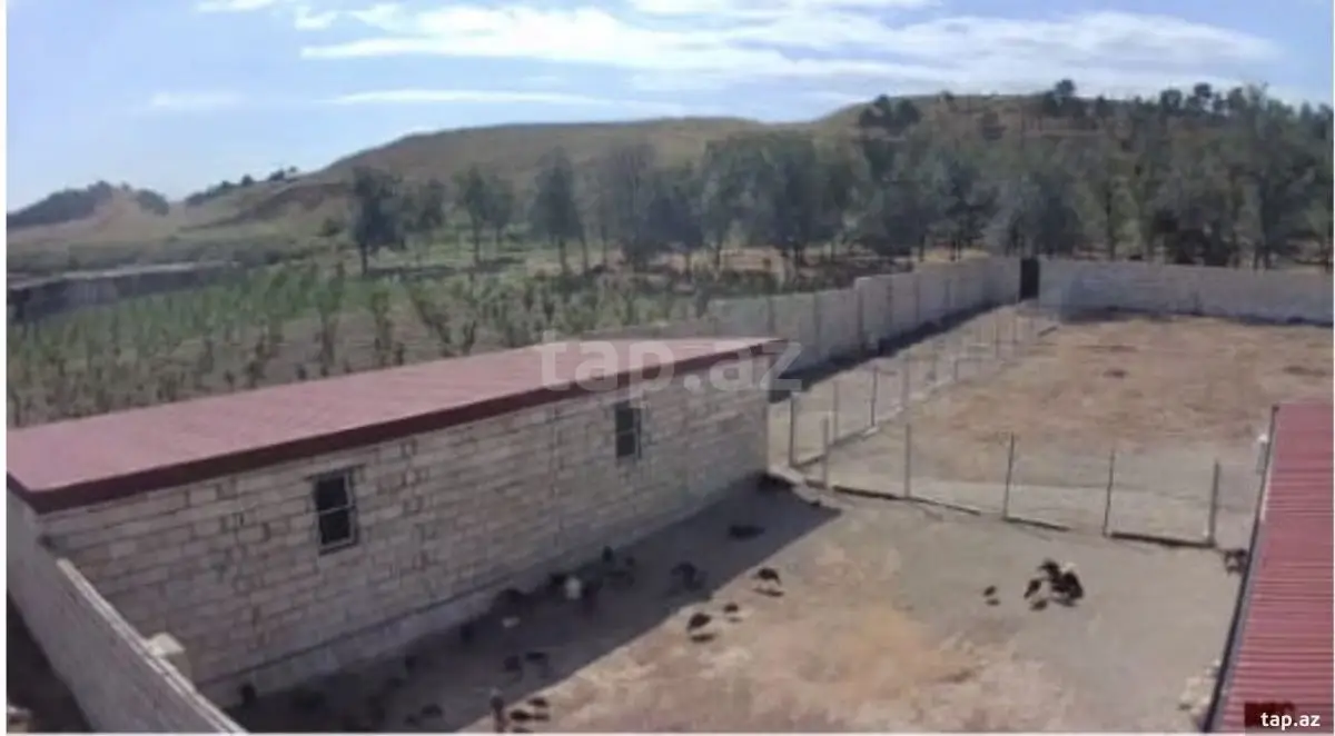 186 000 AZN - 0 m² Obyekt / Ofis , Şabran