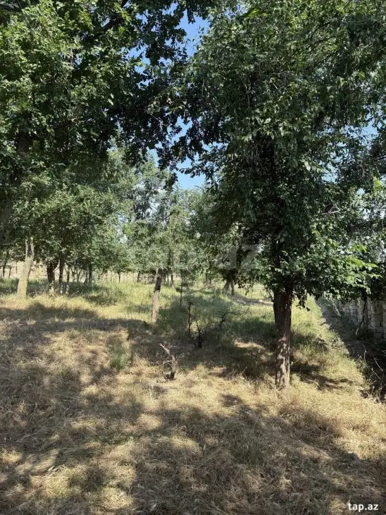 186 000 AZN - 0 m² Obyekt / Ofis , Şabran
