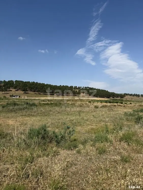 186 000 AZN - 0 m² Obyekt / Ofis , Şabran