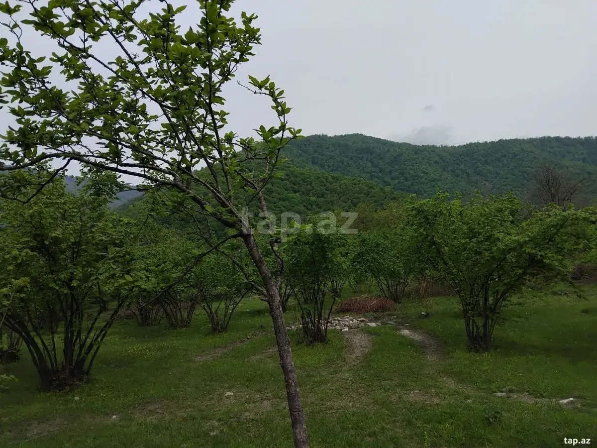 230 000 AZN - 0 m² Obyekt / Ofis , Oğuz