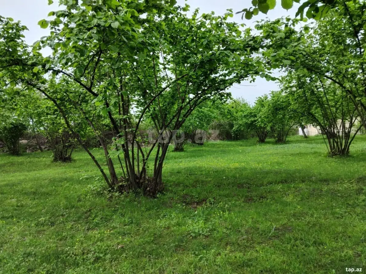 230 000 AZN - 0 m² Obyekt / Ofis , Oğuz