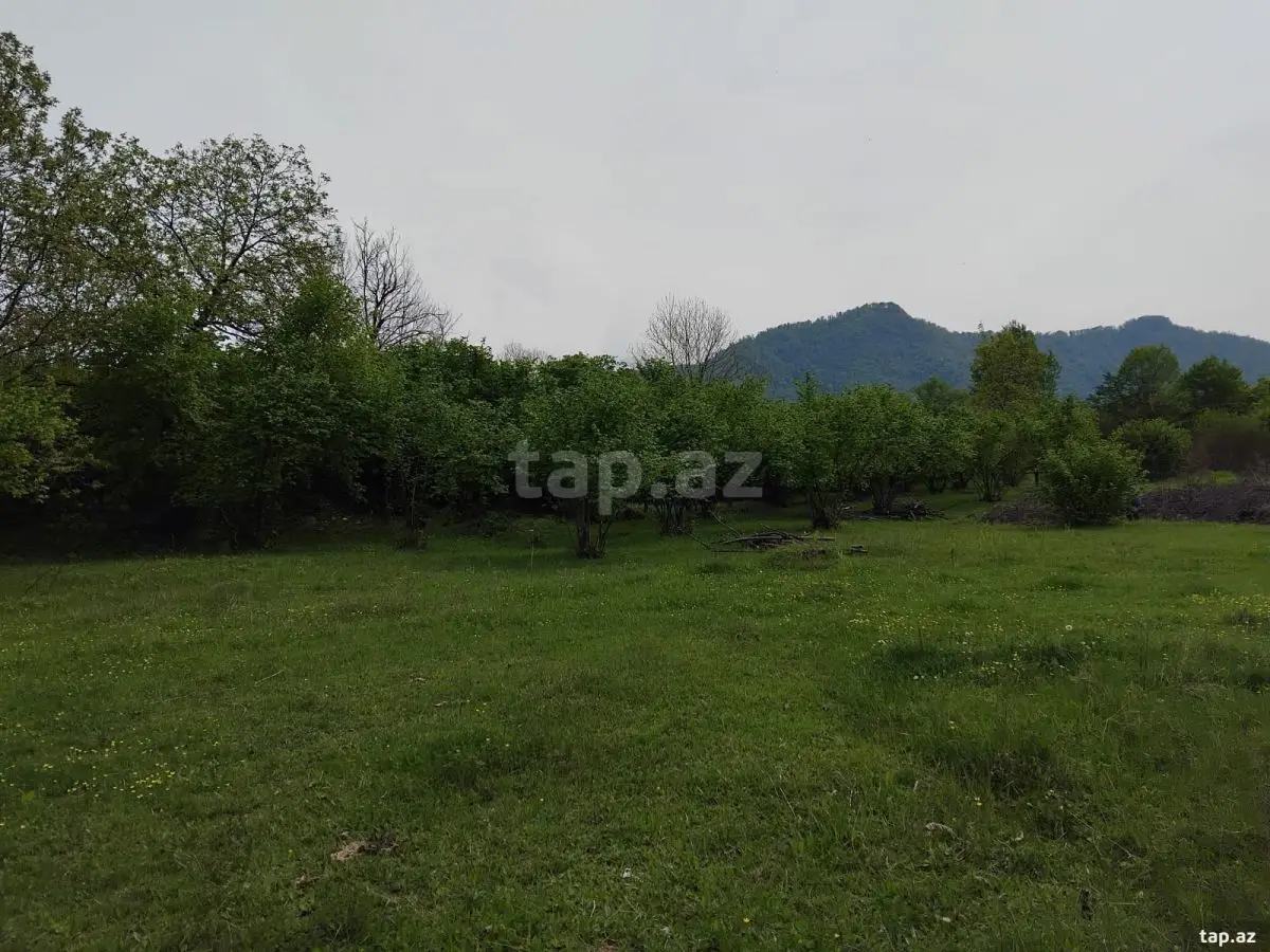 230 000 AZN - 0 m² Obyekt / Ofis , Oğuz