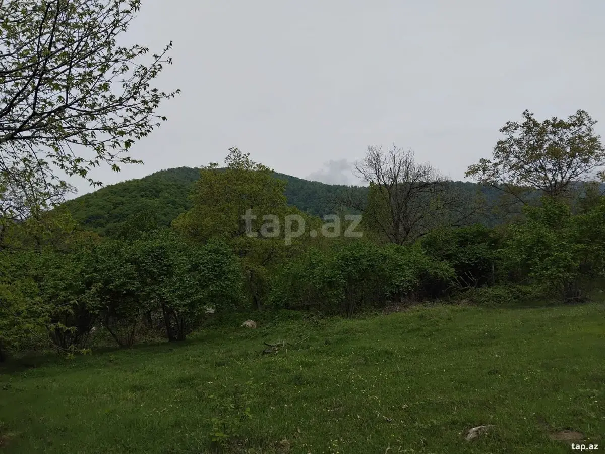 230 000 AZN - 0 m² Obyekt / Ofis , Oğuz