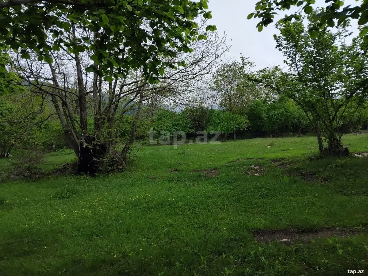 230 000 AZN - 0 m² Obyekt / Ofis , Oğuz