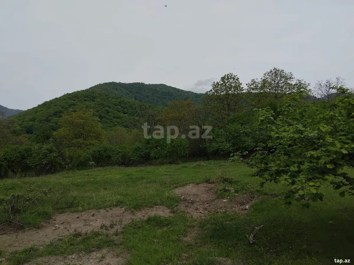 230 000 AZN - 0 m² Obyekt / Ofis , Oğuz