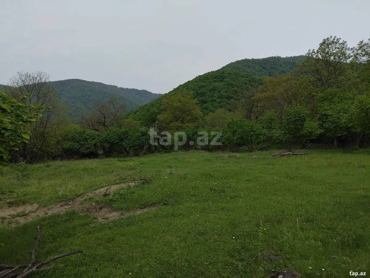 230 000 AZN - 0 m² Obyekt / Ofis , Oğuz