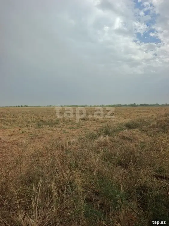399 000 AZN - 0 m² Obyekt / Ofis , Yevlax