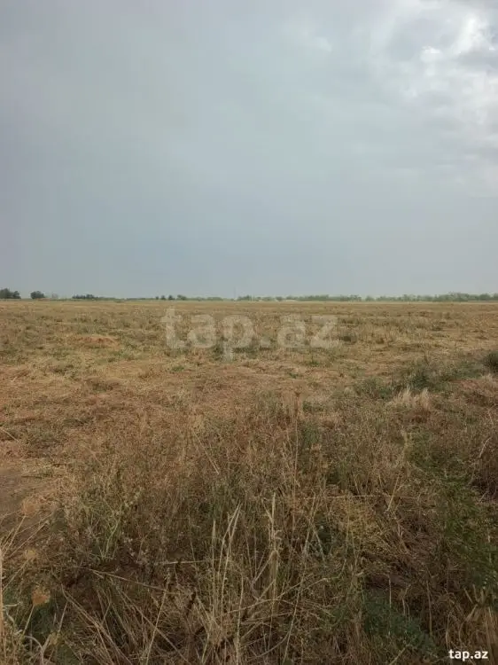 399 000 AZN - 0 m² Obyekt / Ofis , Yevlax