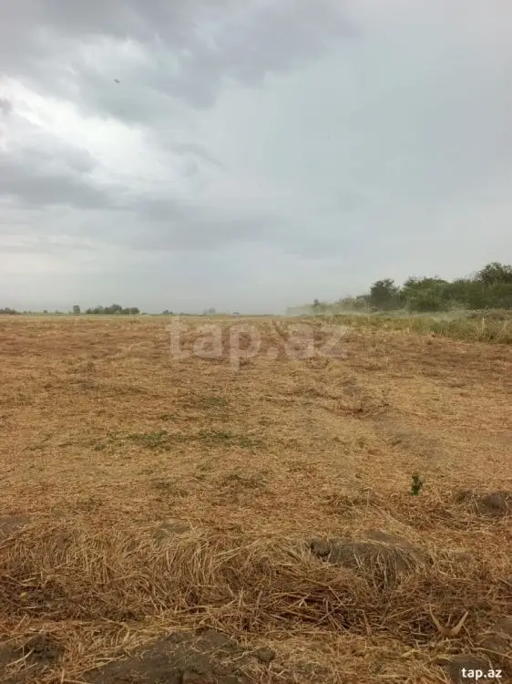 399 000 AZN - 0 m² Obyekt / Ofis , Yevlax