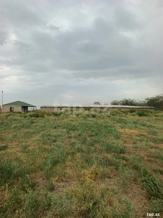 399 000 AZN - 0 m² Obyekt / Ofis , Yevlax