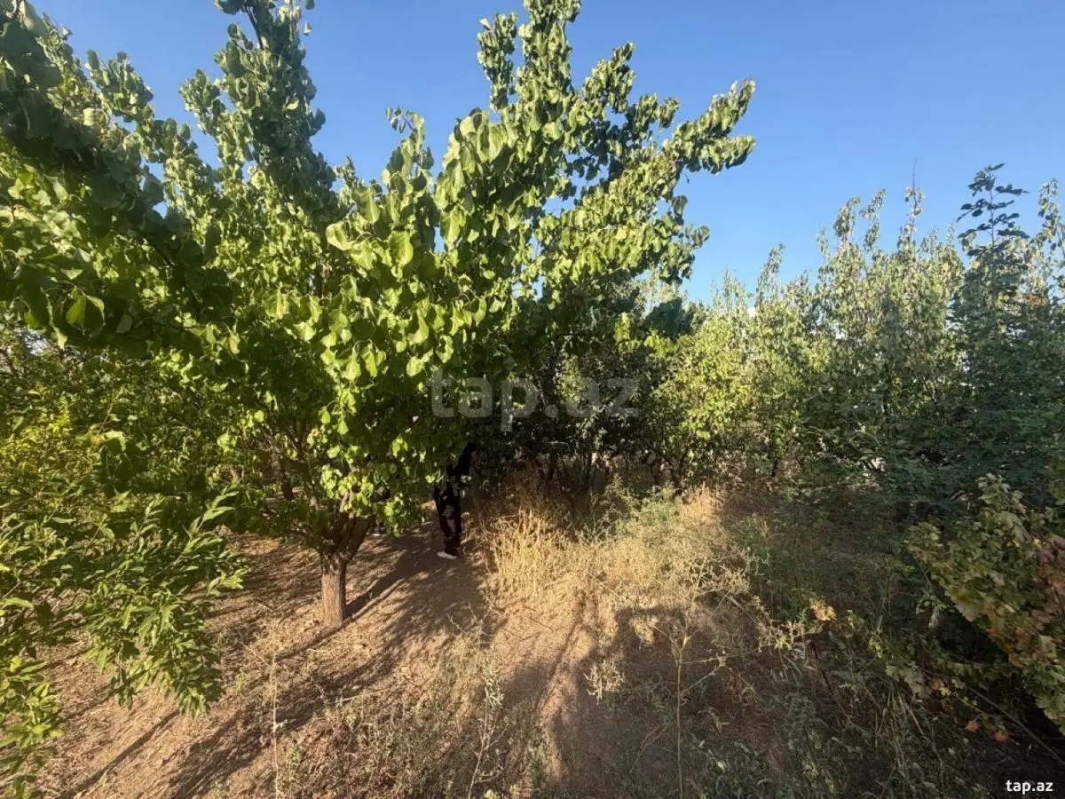 61 000 AZN - 5 otaqlı mənzil , Samux