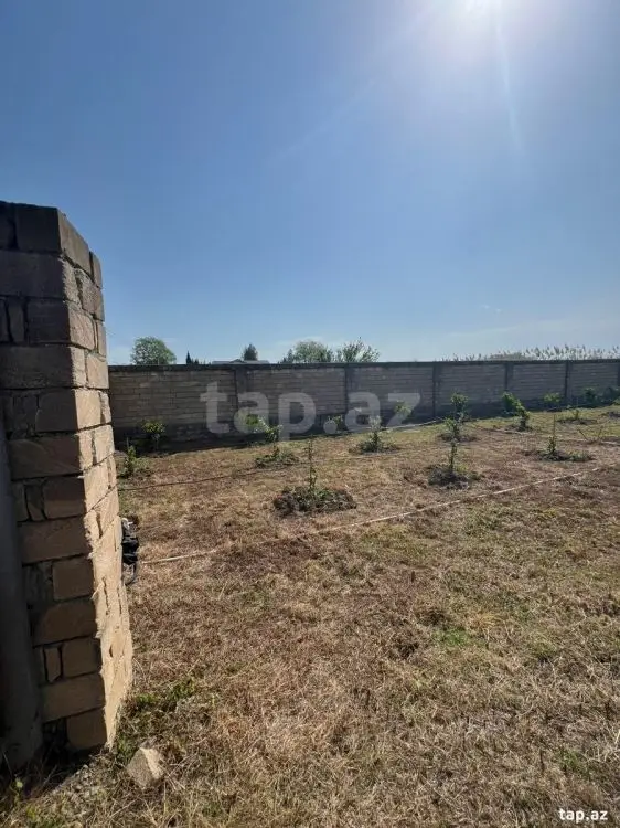 40 000 AZN - 0 m² Obyekt / Ofis , Lənkəran