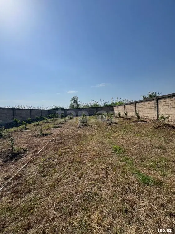 40 000 AZN - 0 m² Obyekt / Ofis , Lənkəran