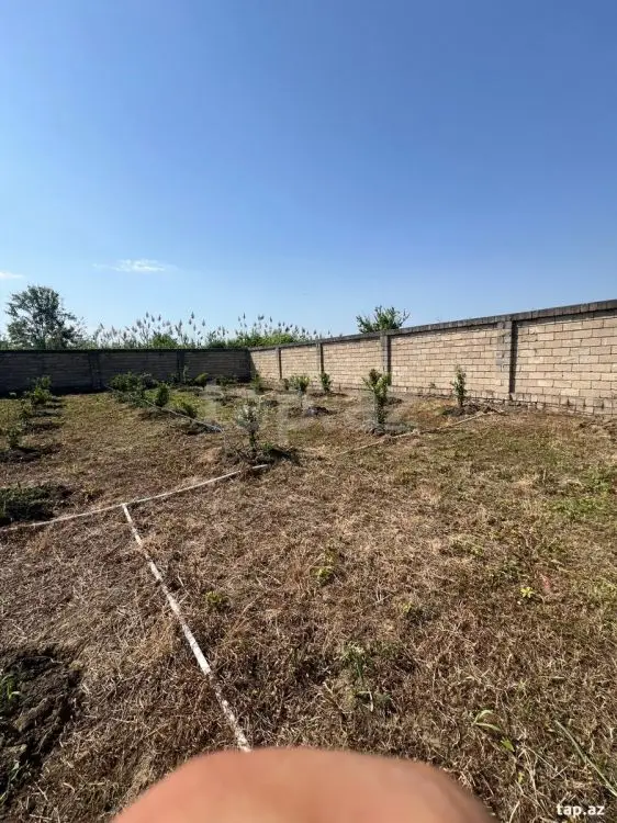 40 000 AZN - 0 m² Obyekt / Ofis , Lənkəran