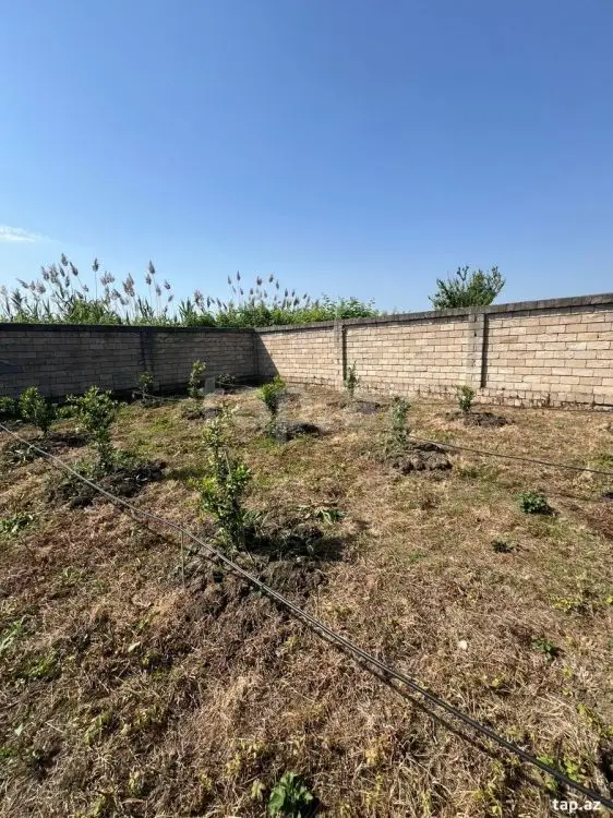 40 000 AZN - 0 m² Obyekt / Ofis , Lənkəran