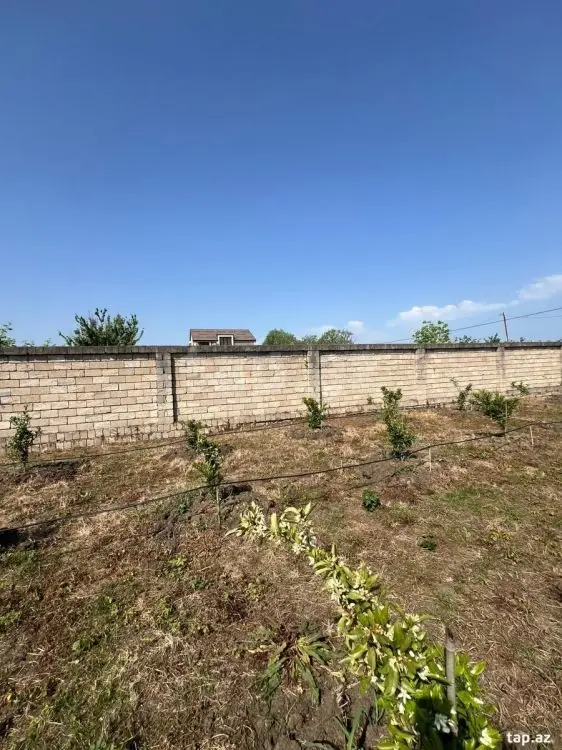40 000 AZN - 0 m² Obyekt / Ofis , Lənkəran