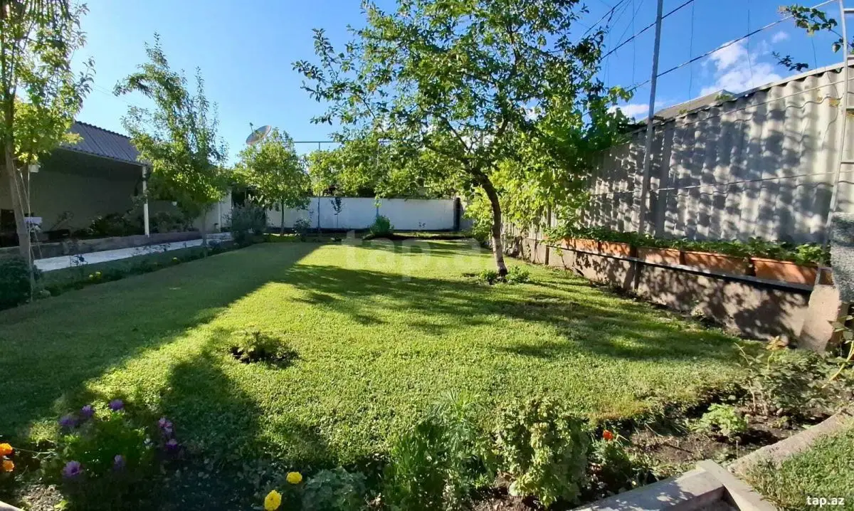 55 000 AZN - 0 m² Obyekt / Ofis , Zaqatala