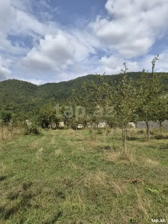 16 000 AZN - 0 m² Obyekt / Ofis , Qəbələ