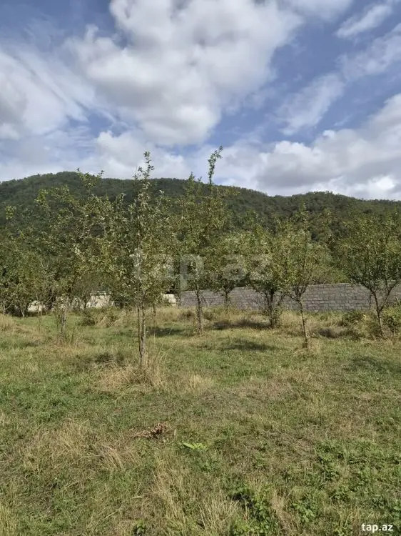 16 000 AZN - 0 m² Obyekt / Ofis , Qəbələ
