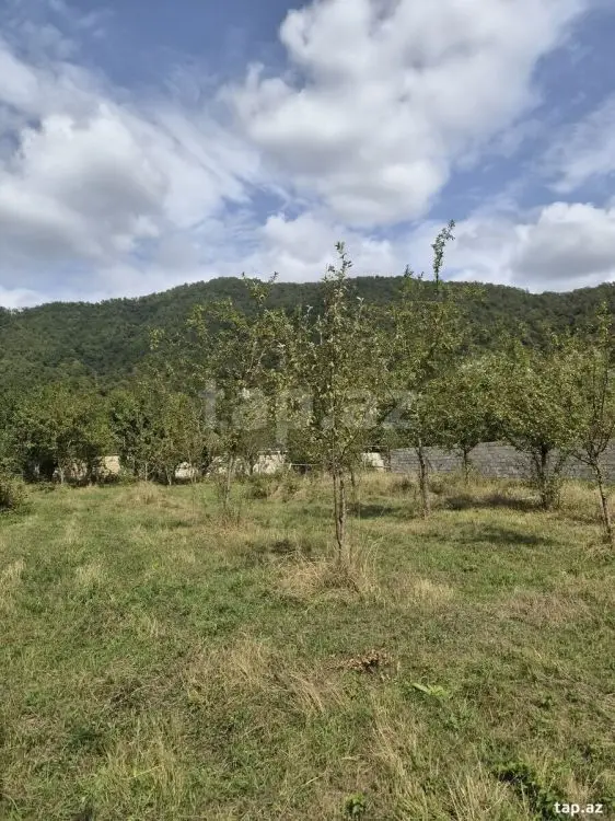 16 000 AZN - 0 m² Obyekt / Ofis , Qəbələ