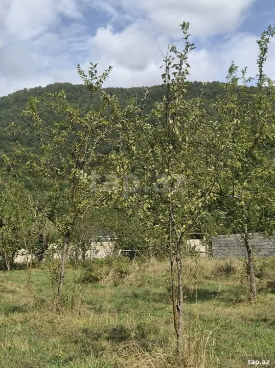 16 000 AZN - 0 m² Obyekt / Ofis , Qəbələ