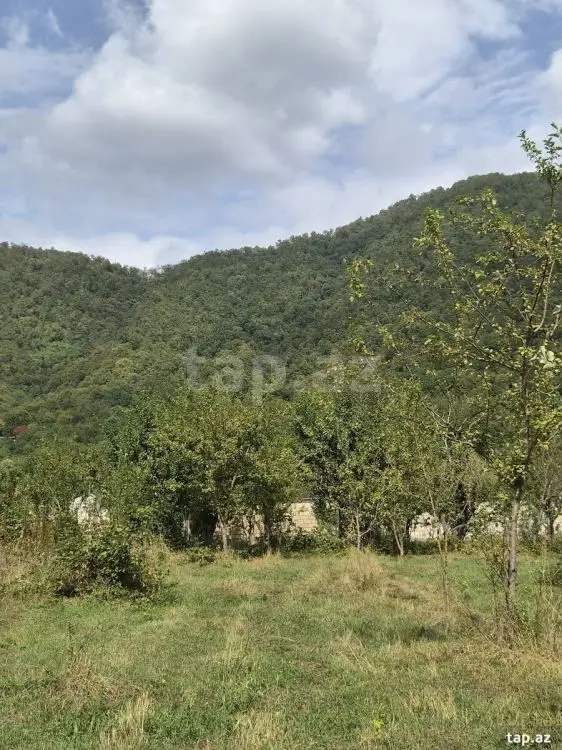 16 000 AZN - 0 m² Obyekt / Ofis , Qəbələ
