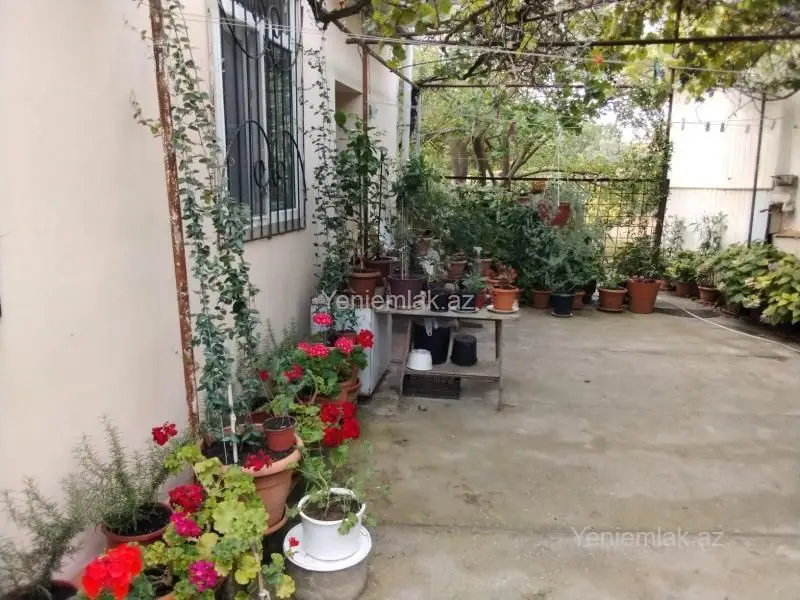 115 000 AZN - 3 otaqlı mənzil Satılır, Novxanı, Abşeron