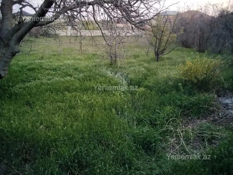 115 000 AZN - 3 otaqlı mənzil Satılır, Novxanı, Abşeron