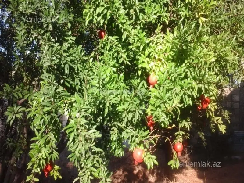 115 000 AZN - 3 otaqlı mənzil Satılır, Novxanı, Abşeron