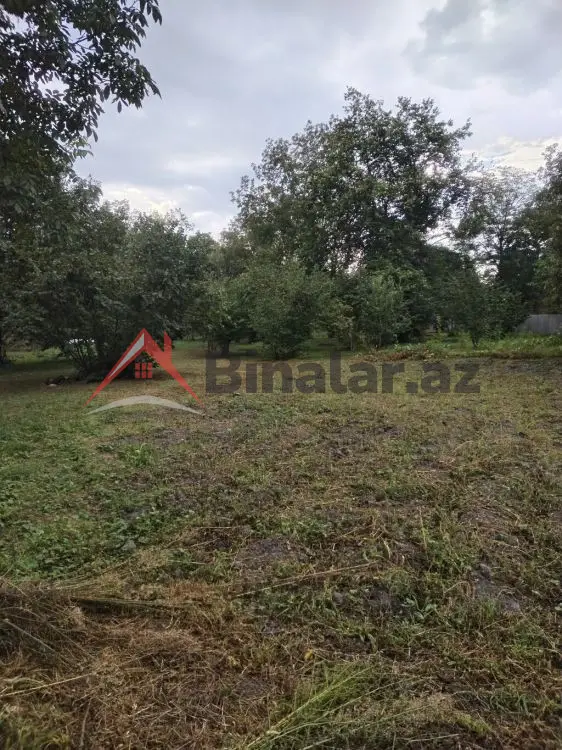 3 600 AZN - 31 sot Torpaq Satılır, Qəbələ
