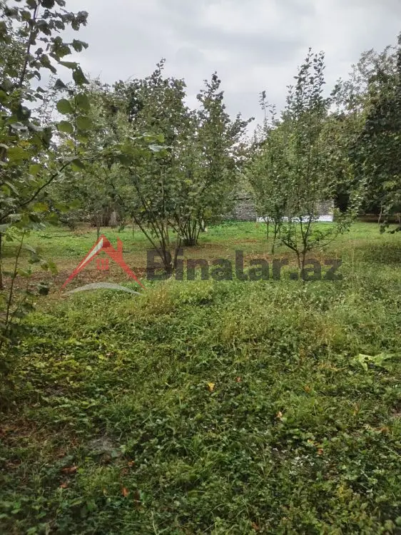 3 600 AZN - 31 sot Torpaq Satılır, Qəbələ