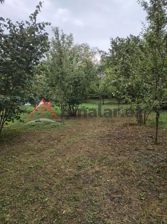 3 600 AZN - 31 sot Torpaq Satılır, Qəbələ