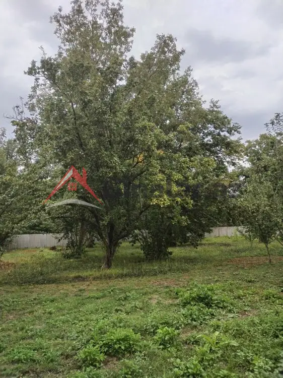 3 600 AZN - 31 sot Torpaq Satılır, Qəbələ