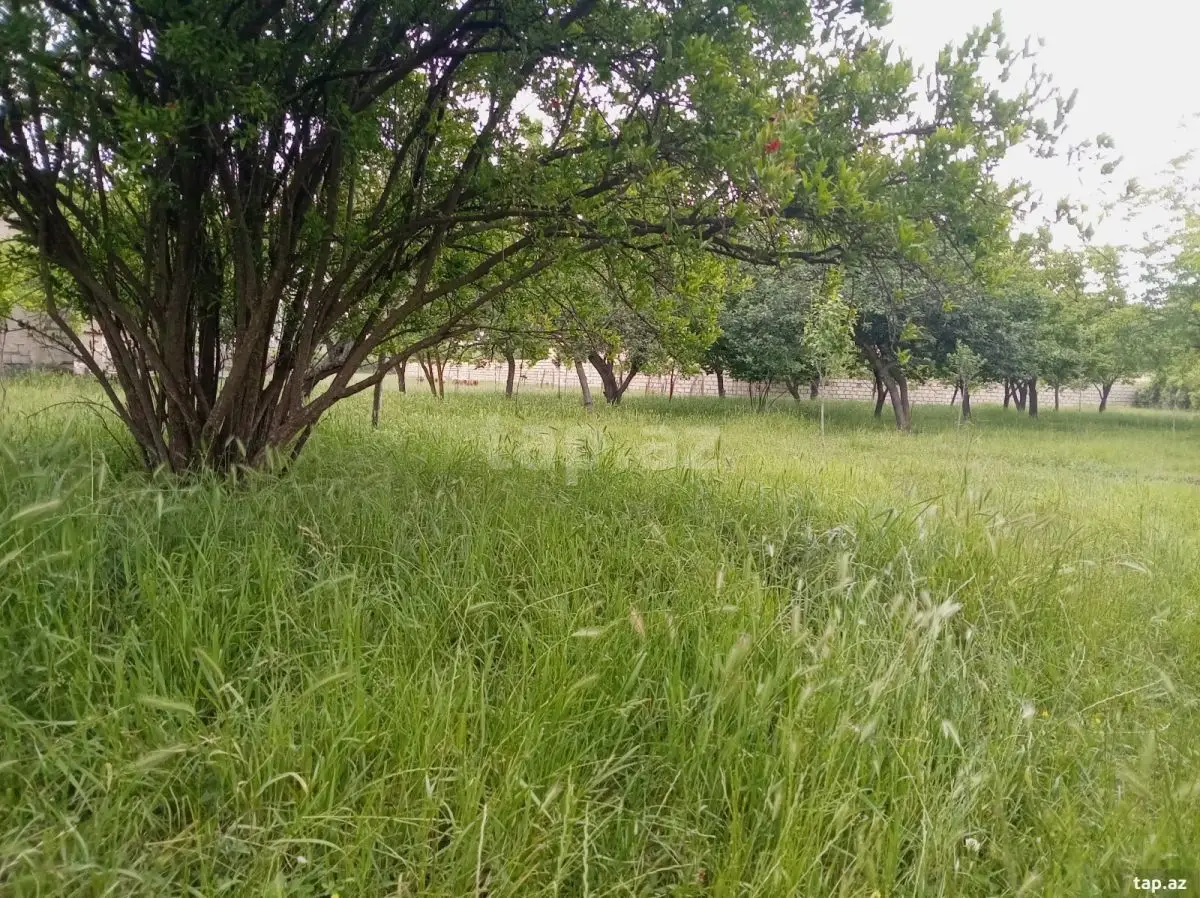 55 000 AZN - 5 otaqlı mənzil , Bərdə