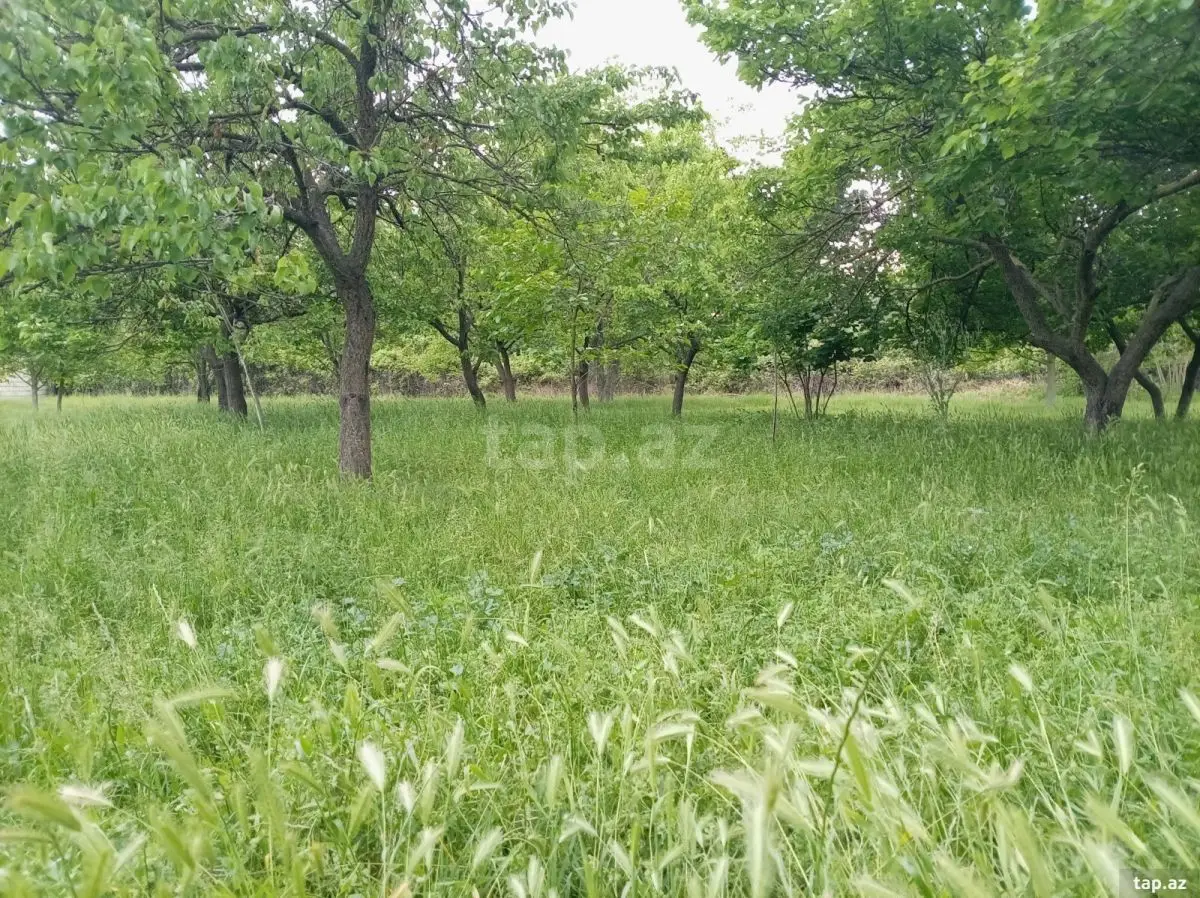 55 000 AZN - 5 otaqlı mənzil , Bərdə