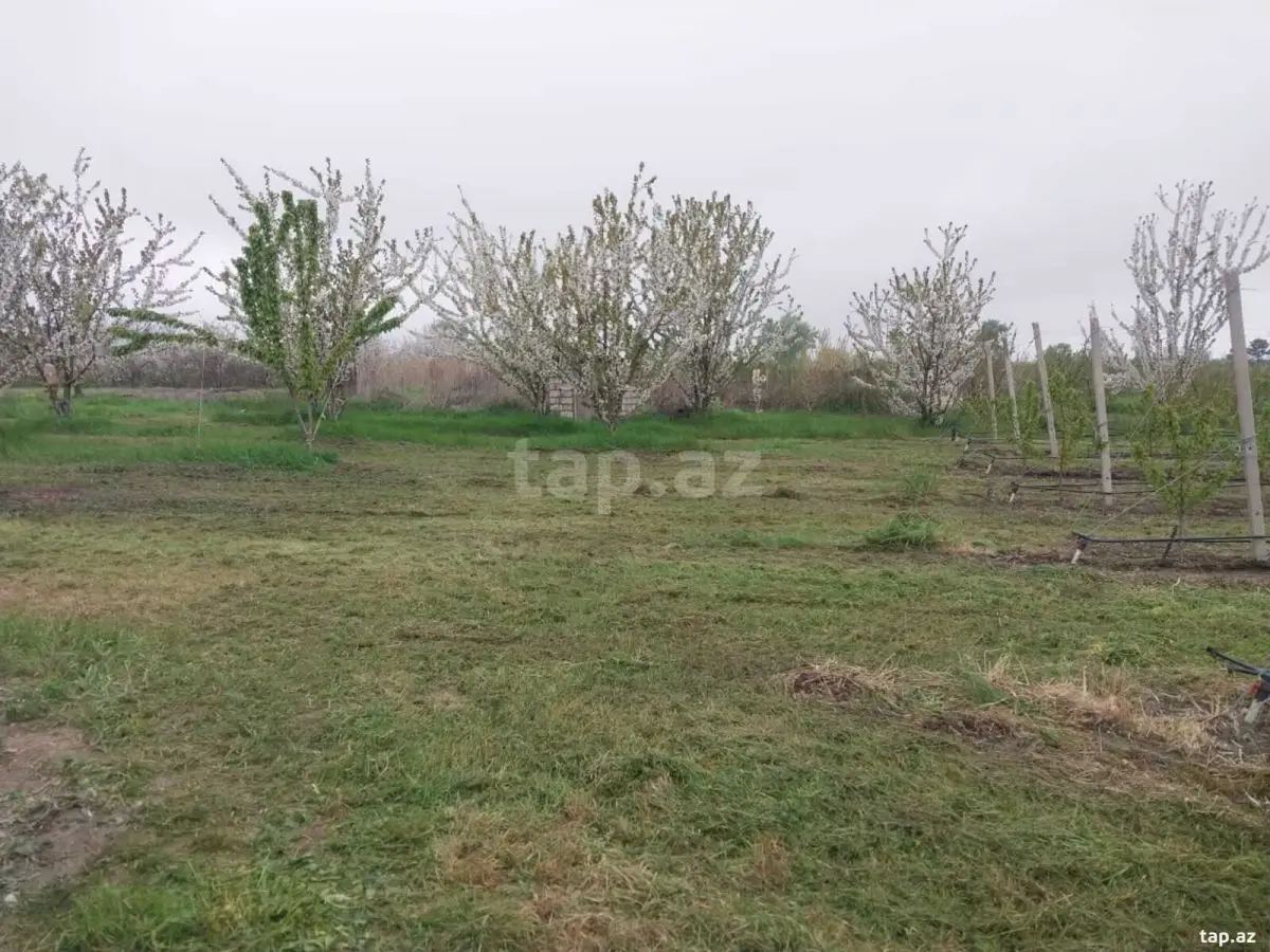 220 000 AZN - 0 m² Obyekt / Ofis , Xaçmaz