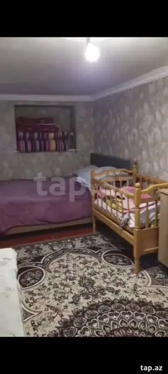 250 AZN - 2 otaqlı mənzil Kirayə (aylıq), Gəncə